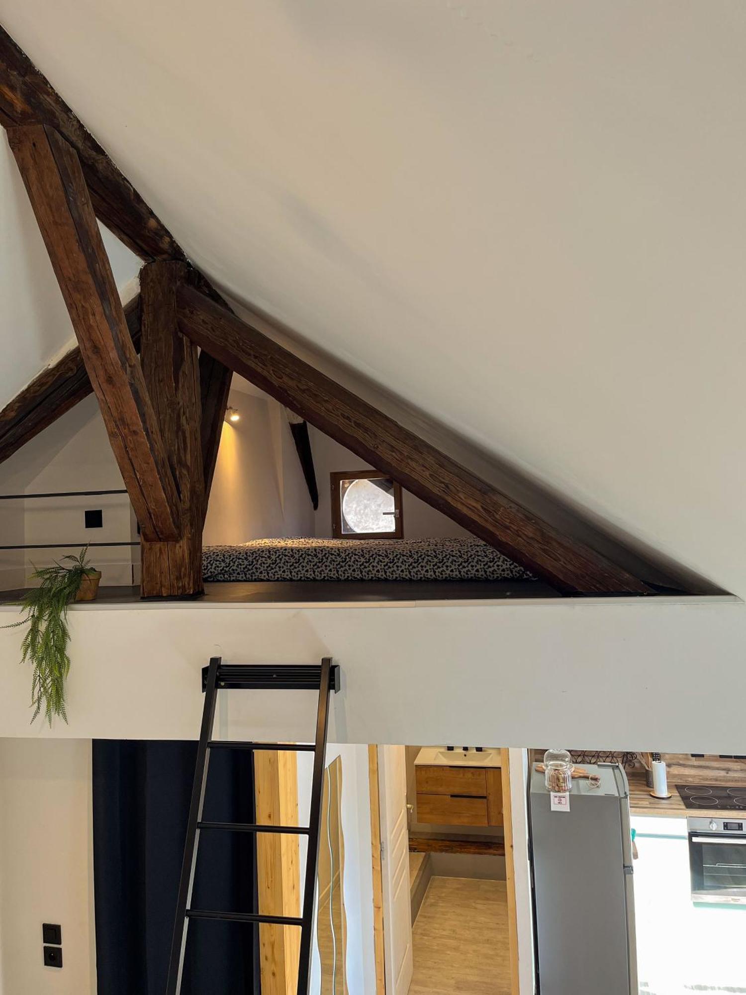 Cocon Sous Les Toits Apartment Albertville Bagian luar foto