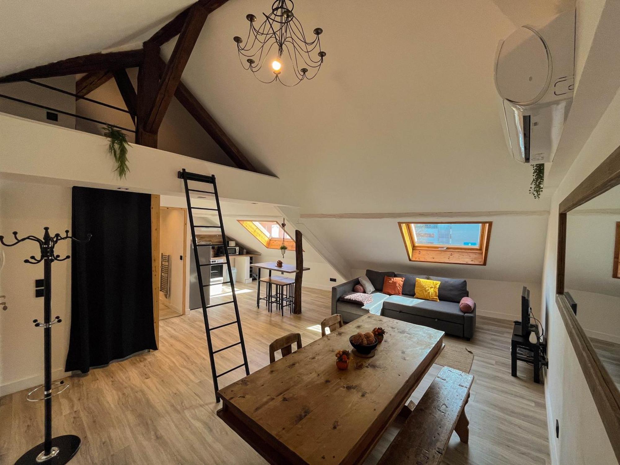 Cocon Sous Les Toits Apartment Albertville Bagian luar foto