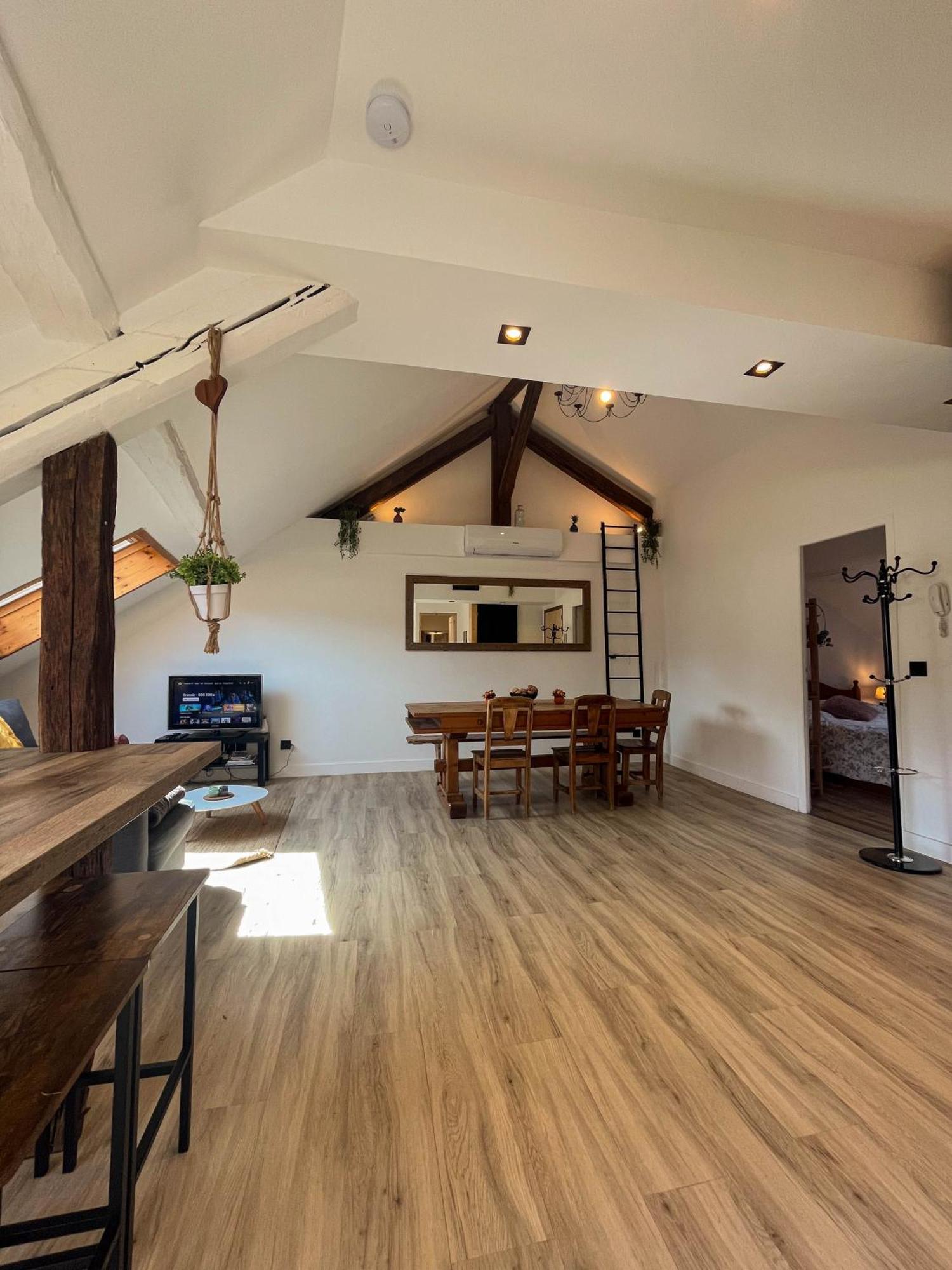 Cocon Sous Les Toits Apartment Albertville Bagian luar foto