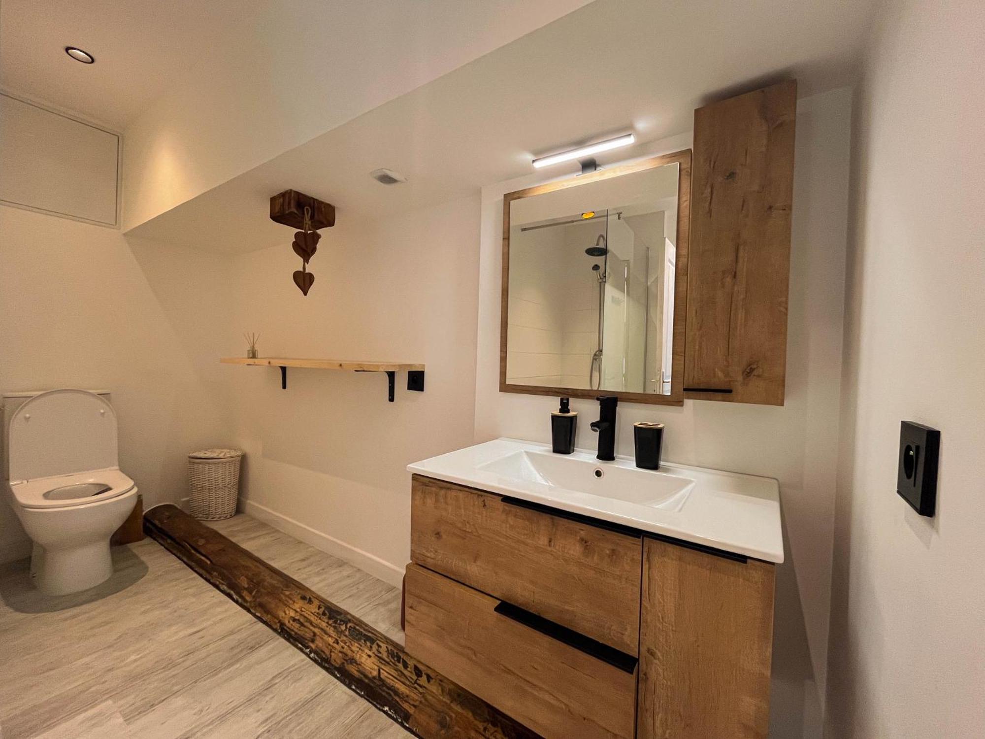 Cocon Sous Les Toits Apartment Albertville Bagian luar foto