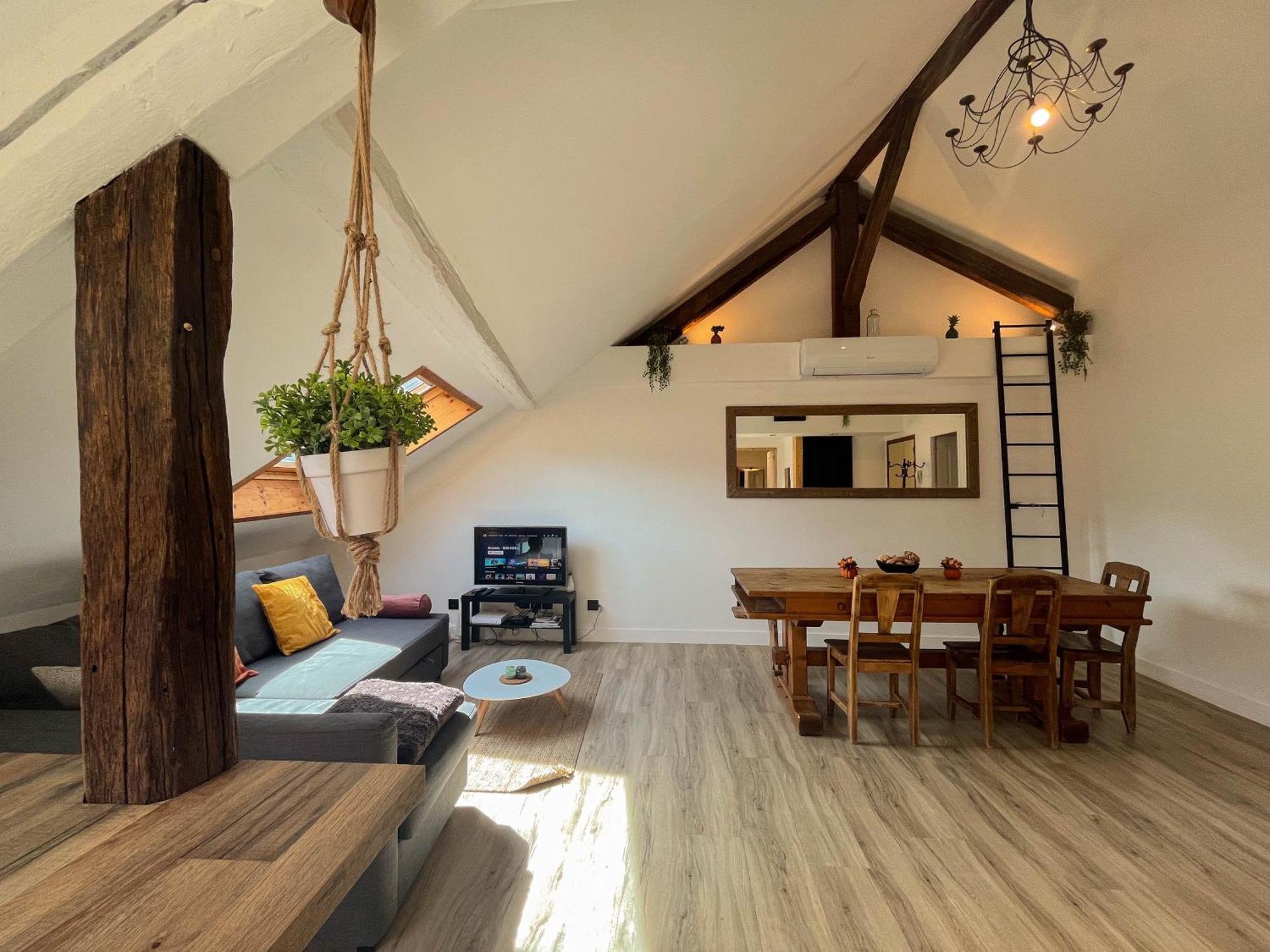 Cocon Sous Les Toits Apartment Albertville Bagian luar foto