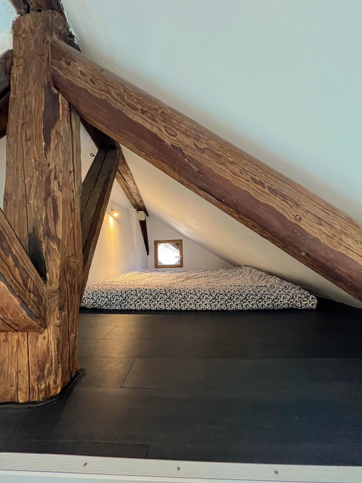 Cocon Sous Les Toits Apartment Albertville Bagian luar foto